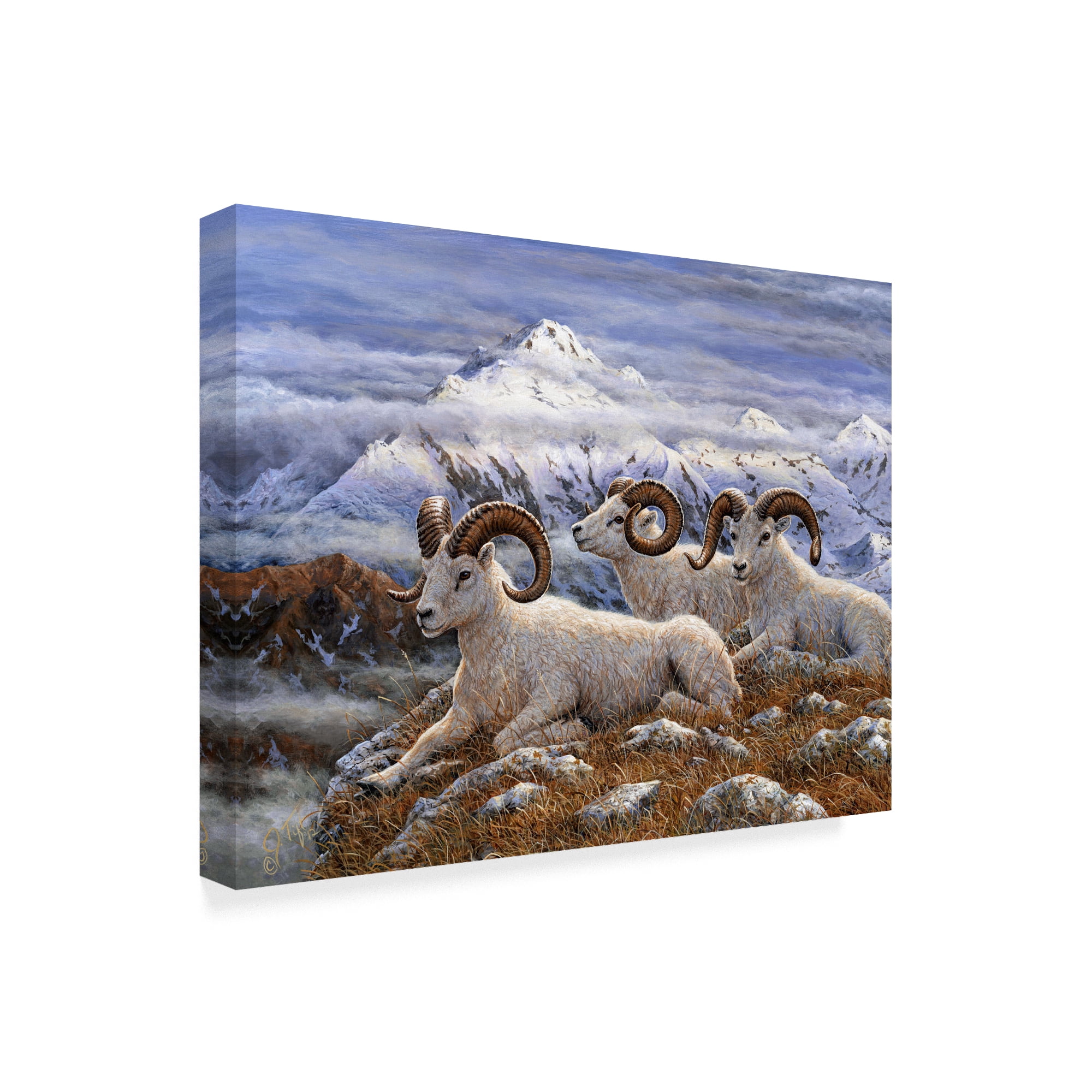 Trademark Fine Art 'Denali Rams' Canvas Art by Jeff Tift