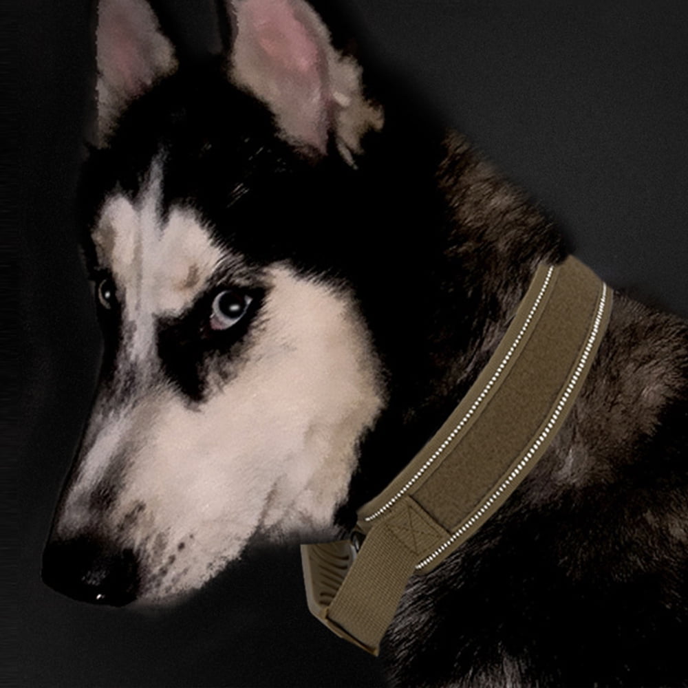 Tactical Dog collar with handle - Heavy duty, reflective, padded training dog collar