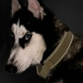 thumbnail image 4 of Tactical Dog collar with handle - Heavy duty, reflective, padded training dog collar, 4 of 5