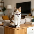 thumbnail image 5 of Boho Breakaway Cat Collar with Bell, Adjustable Printed Kitten Collar with Pendant for Cats and Small Pets(C,28cm), 5 of 5