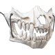 thumbnail image 2 of Tiger Ye Yaksha Dragon God Tengu Black Tortoise,Half Face Skull Scary Mask, 2 of 5