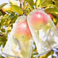 thumbnail image 5 of 50 Pieces Grapes Fruit Protection Bag. Reusable Fruit Organza Bag Mesh Mesh Bags, 5 of 5