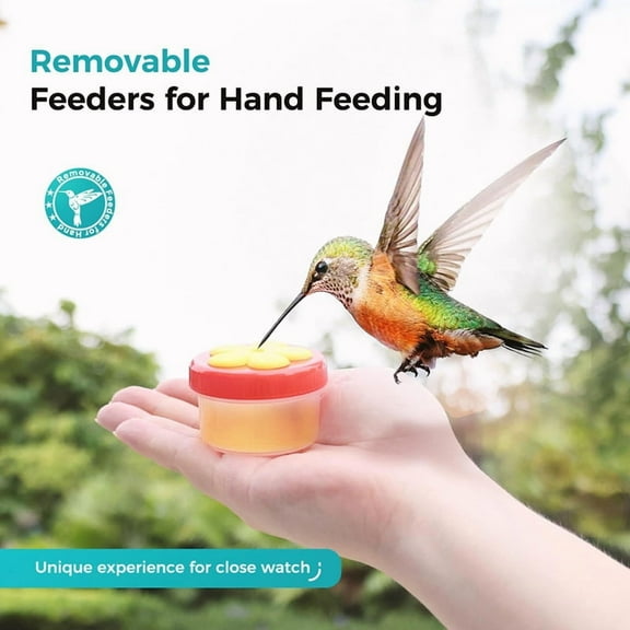 1 * Hummingbird Feeders 4 * small cleaning brush-As Shown