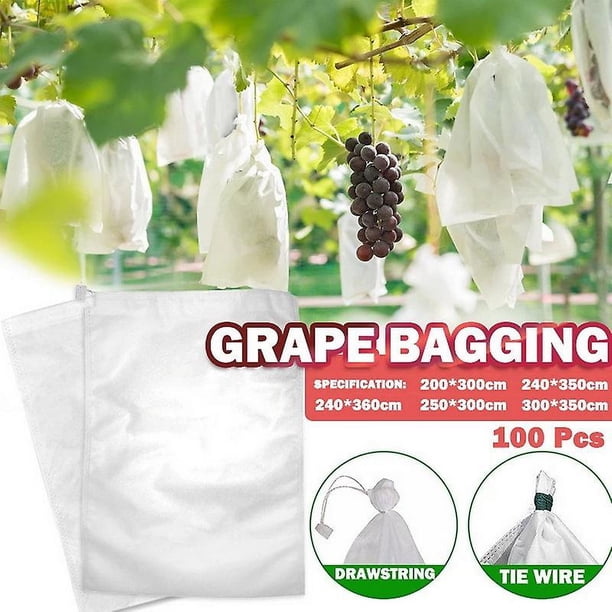 100 Uds bolsas de uvas red para verduras uvas bolsa de cultivo de protección de frutas