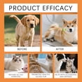 thumbnail image 4 of Eeljoy Pet Skin Care Spray 100Ml, Gentle Daily Cleansing For Cats & Dogs, Natural Plant Extracts For Sensitive Skin, 4 of 8