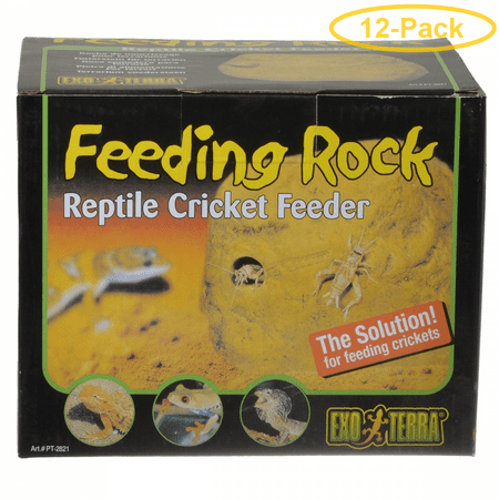 - null - Pack of 12