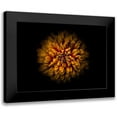 thumbnail image 1 of Carson, Brian 24x18 Black Modern Framed Museum Art Print Titled - Backyard Flowers 68, 1 of 5