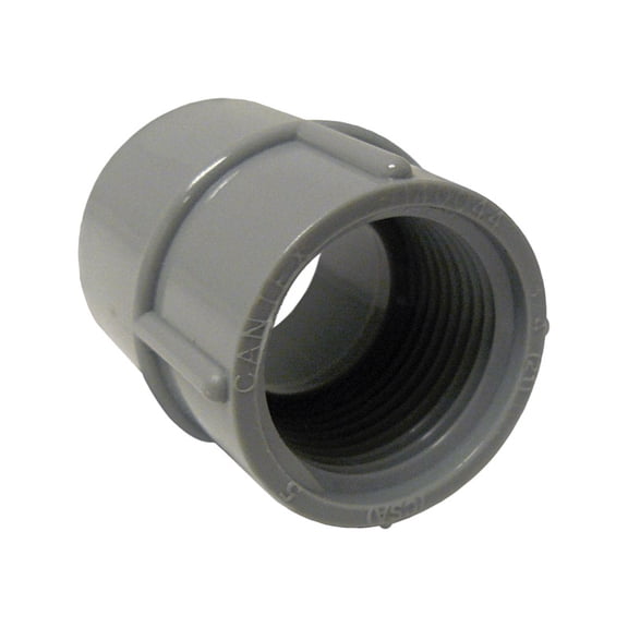 Cantex 1 in. D PVC Female Adapter For PVC 1 each