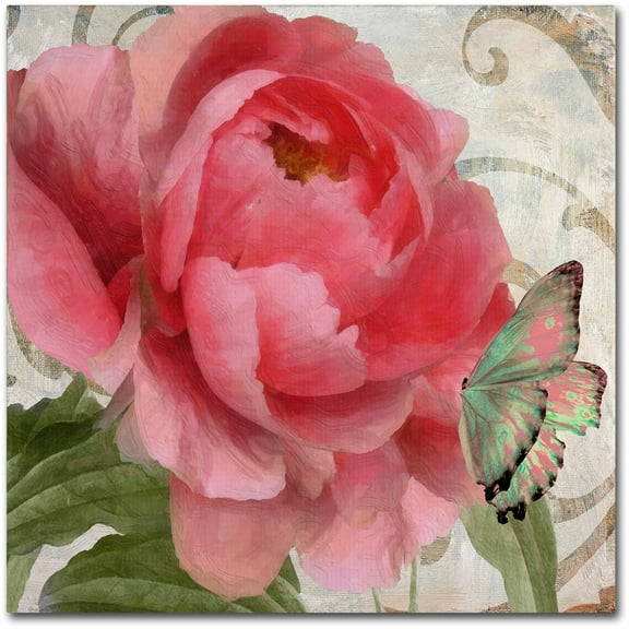 Trademark Fine Art "Apricot Peonies II" Canvas Art by Color Bakery