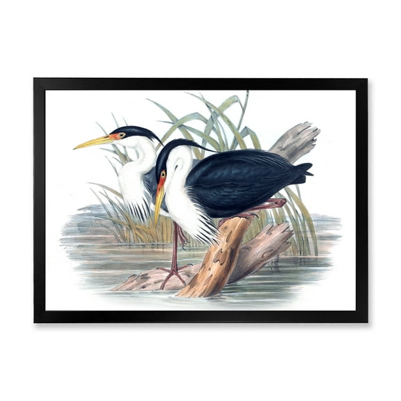Designart 'Ancient Bird Life II' Traditional Framed Art Print