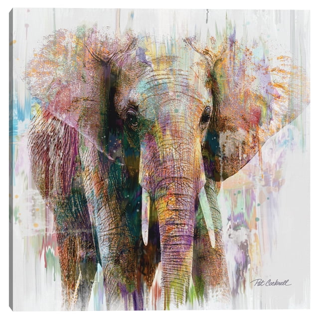 Cuadros Decorativos Jr Retrato de elefante Canvas