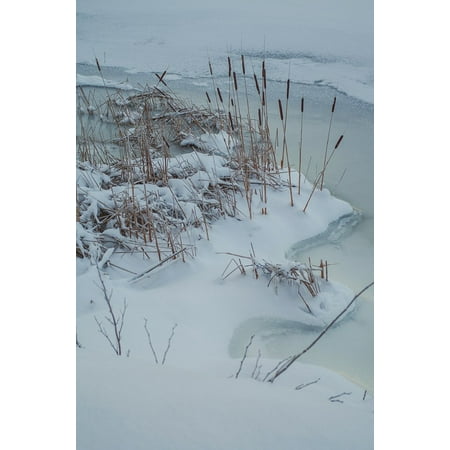 laminated poster winter frozen