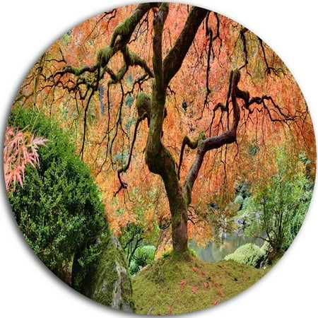 Design Art 'Old Japanese Maple Tree' Photographic Print on