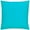 Aqua Blue, variant on Furn Plain Outdoor Cushion Cover