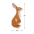 thumbnail image 5 of Northlight Standing Curious Bunny Outdoor Garden Statue - 19", 5 of 9