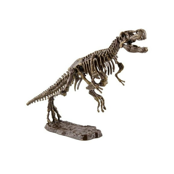 BallsFHK Excavation Kit Simulation Dinosaur Fossils Skeleton Archeology Education