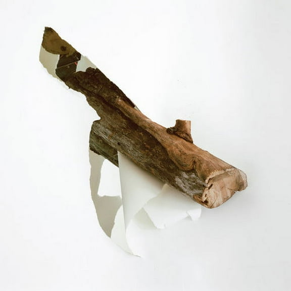 Balmorhea - Heir - Music & Performance - Vinyl [7-Inch]