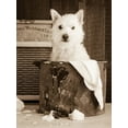 thumbnail image 2 of Fielding, Edward M. 12x14 Black Ornate Wood Framed with Double Matting Museum Art Print Titled - Vintage Wash Day, 2 of 4