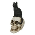 thumbnail image 5 of Witching Hour Black Feline Mystical Cat Sitting On Skull Wicca Macabre Figurine, 5 of 7