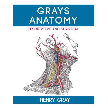 Gray S Anatomy Descriptive And Surgical Walmart Com
