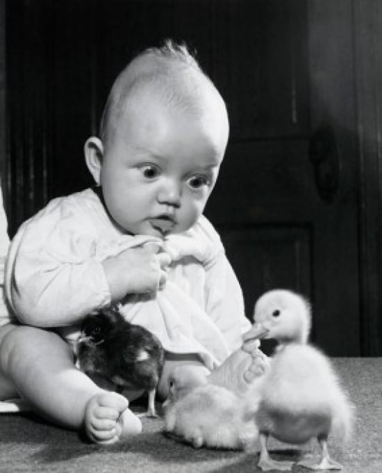 Close-up Of A Baby