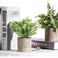 thumbnail image 6 of 3 Pack Mini Potted Fake Plants Artificial Plastic Eucalyptus Plants Topiaries for Home Office Desk Farmhouse Shelf Room Bathroom Decor(Sage Green), 6 of 8