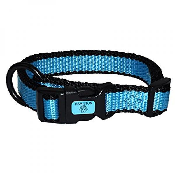 Hamilton 5/8" Adjustable Dog Collar fits 12" 18", Small, Neon Blue