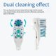 thumbnail image 5 of 20 Cabezales de Repuesto para Cepillos de Dientes Crossaction 4733, 4734 y 4732 Dual Clean. Limpieza Profunda de los Dientes., 5 of 7