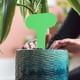 thumbnail image 5 of 100 Uds. Mini rotuladores de plantas con etiquetas de flores para herramientas de jardín DIY (verde) Likrtyny Para estrenar, 5 of 9