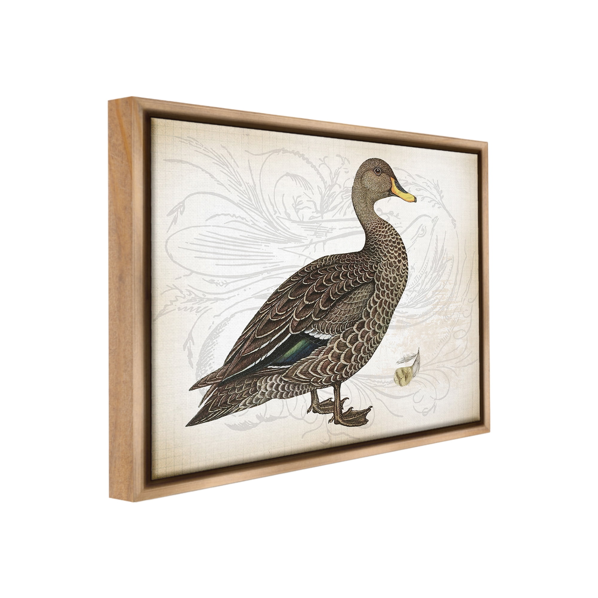 Stupell Industries Patterned Vintage Duck Animals & Insects Painting Brown Floater Framed Canvas Art Print Wall Art, 31 x 25