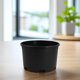 thumbnail image 1 of unbranded Plástico Para Plantas Suculentas Con Aire Y Duradero, 1 of 8