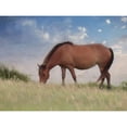 thumbnail image 3 of Deiter, Lori 24x19 Black Modern Framed Museum Art Print Titled - Assataegue Horse, 3 of 5