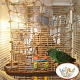 thumbnail image 4 of BadPiggies Pet Parrot Perch Bird Climbing Net Jungle Fever Swing Rope Animals Ladder Toys (19.7"X15.7"), 4 of 10