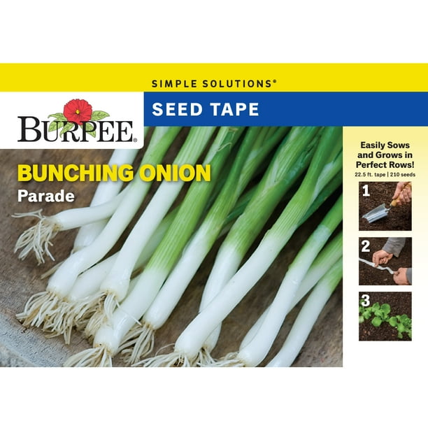 Burpee Parade Bunching Onion Vegetable Seed Tape, 1pack