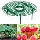thumbnail image 1 of Soporte de jardinería de pilar de trepadora shamjiam para Plantas de fresa, 1 of 8