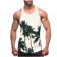 thumbnail image 1 of Camisetas de Tanque de los Hombres Tanque de los Hombres Incolor Gradiente de Impresión Cuello Redondo Correa Delgada Fuga Atrás Regular Casual Deportes Blusas de Tanque, 1 of 4