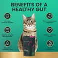 thumbnail image 3 of VetriScience Everyday Gut Health Chews for Cats, Duck, 60 Count, 3 of 7