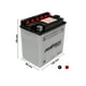 thumbnail image 2 of America 10L-A2 12V 11Ah Bci para Moto, 2 of 4