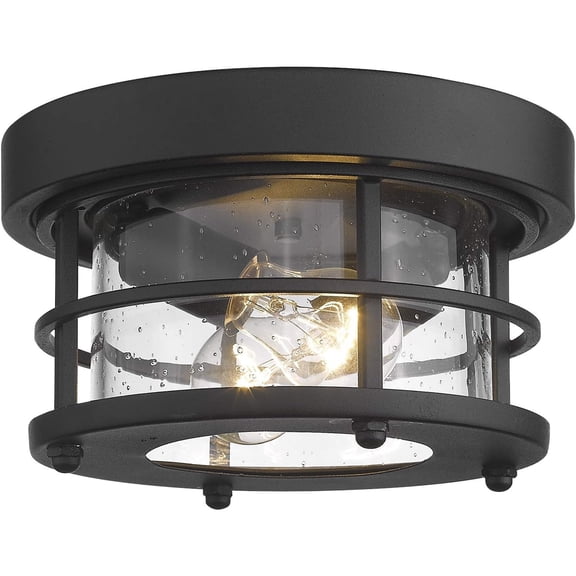Emliviar 10" Ceiling Light Fixture, 2-Light Farmhouse Flush Mount Ceiling Light with Seeded Glass, Black Finish, WE2085F BK