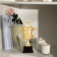 thumbnail image 1 of , Trofeo, Trofeo, Oficina, , Participación, Reconocimiento, Regalo, de Premiación, Fútbol, Fútbol, Liga, Juego, 225 cm Hugo Trofeo de premio, 1 of 10