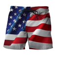 thumbnail image 1 of Mens Independence Day Beach Shorts Casual Workout Summer Short Pants Elastic Waisted Bottoms, 1 of 1