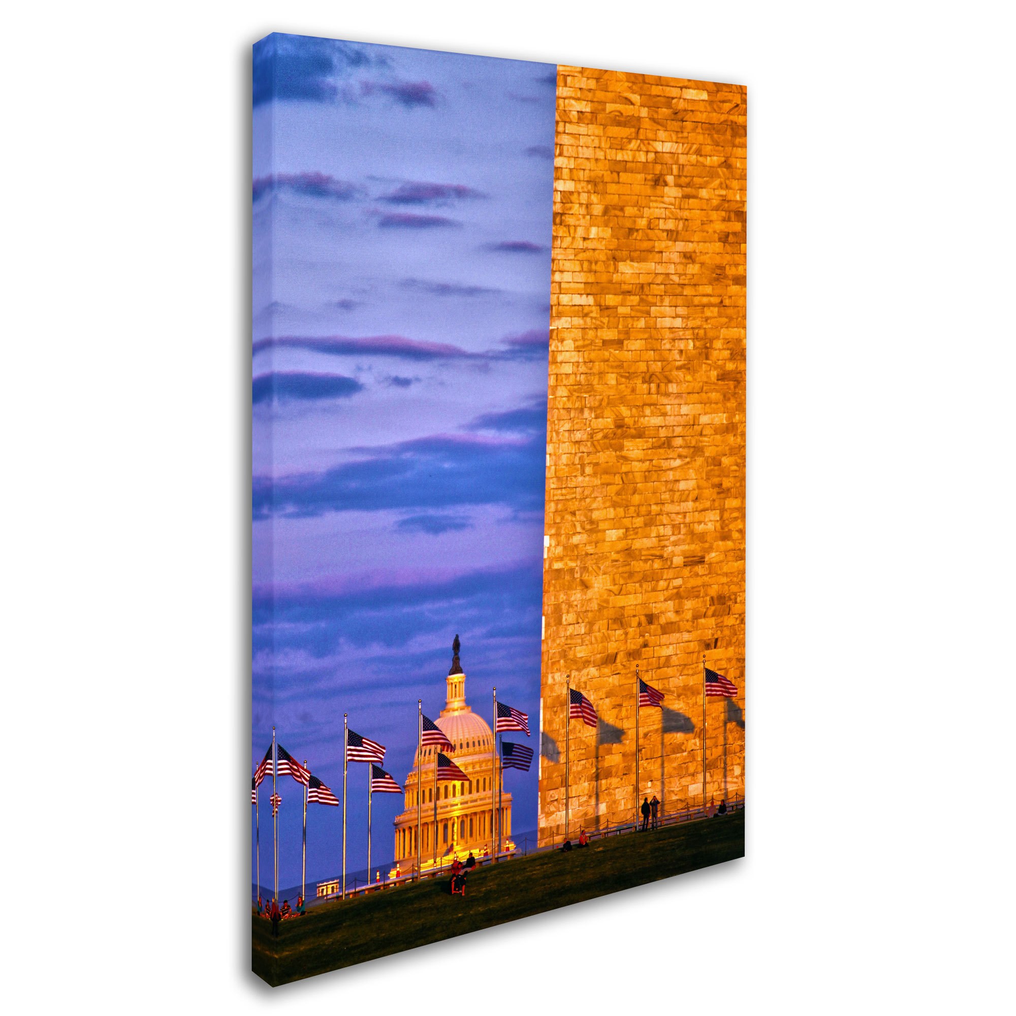 Trademark Fine Art "America" Canvas Art by CATeyes