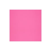 Cdstk Textured 12x12 73lb 25pc Pk Lovebug UPC