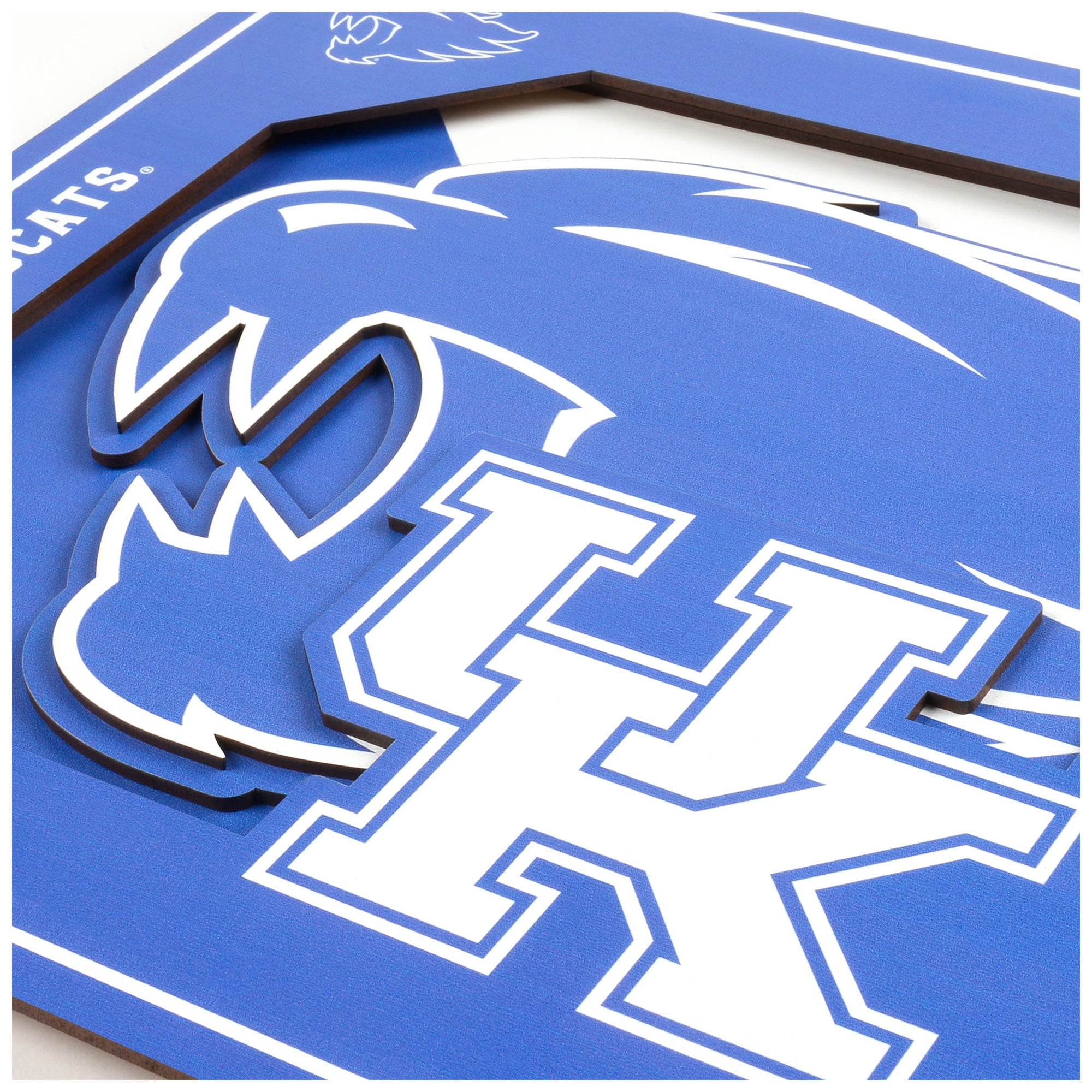 YTF NCAA Kentucky Wildcats 3D Logo Series Wall Art 12X12