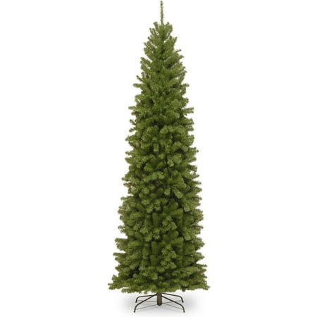 10' North Valley Spruce Pencil Slim Tree