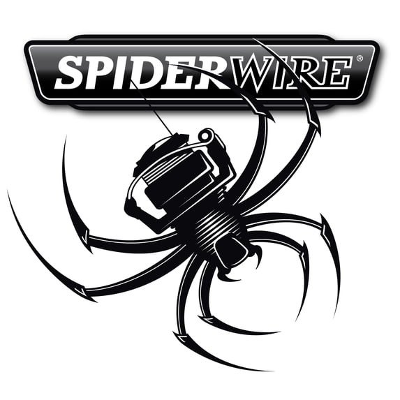 SpiderWire EZ Braid™ Fishing Line, 8 lb test, 300 yd, Moss Green