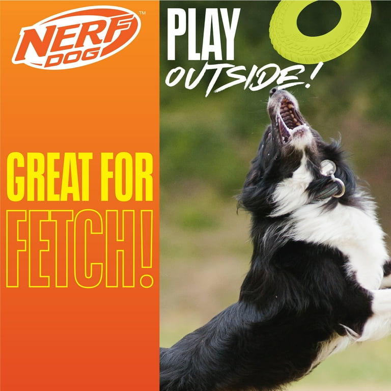 Nerf Dog Tire Flyer Dog Fetch Toy, Green Disc photo 3