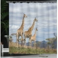 thumbnail image 4 of Ambesonne Wildlife Shower Curtain, Giraffe Family, 69"Wx70"L, Tan Blue, 4 of 5