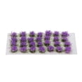 thumbnail image 3 of 2x 28 árboles modelo mixtos, árboles en miniatura, árbol modelo , árboles de para modelos de de arena, decoración de escenas Zulema  Studio Grass Tufts Flor silvestre, 3 of 8