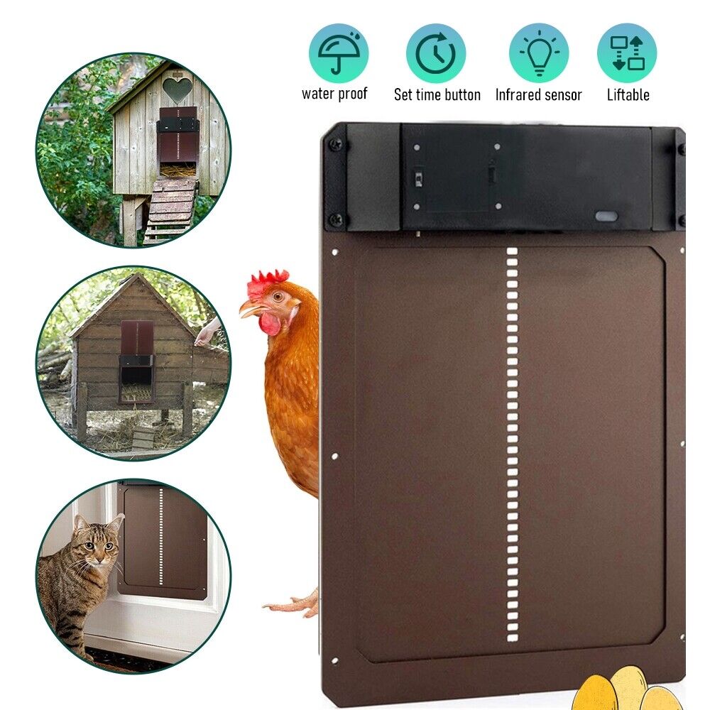 battery operated light for chicken coop